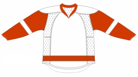 Detroit Red Wings