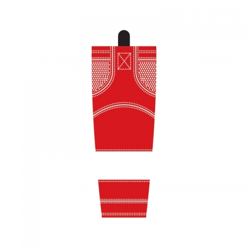 Detroit Red Wings