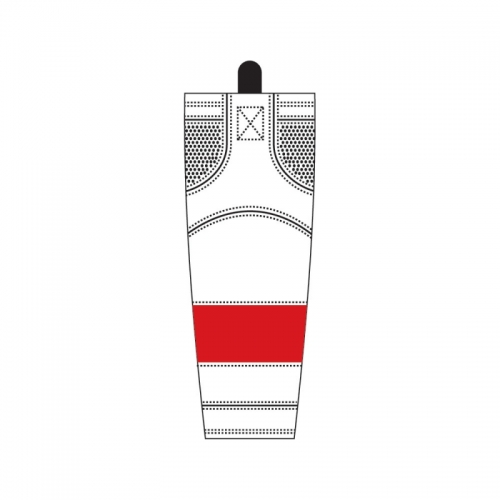 Detroit Red Wings 