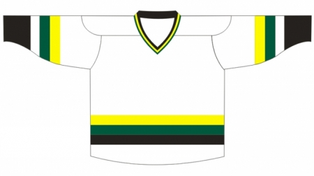 Minnesota Wild 