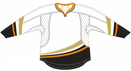 Anaheim Ducks
