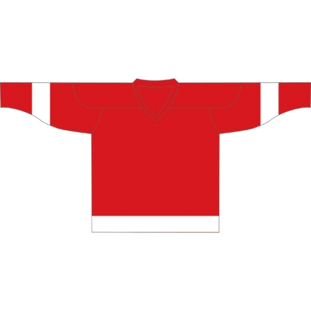 Detroit Red Wings 