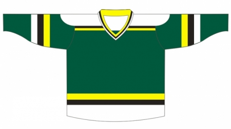Minnesota Wild 