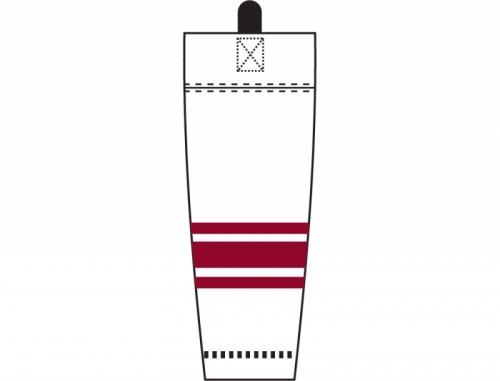 Phoenix Coyotes