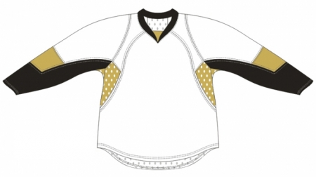 Pittsburgh Penguins