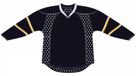 Dallas Stars